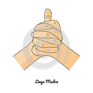 Linga Mudra / Gesture of Heat. Vector