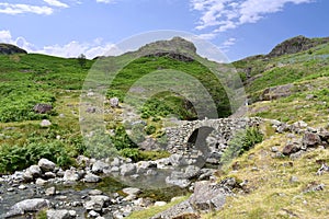 Lingcove bridge with Throstle Garth prominent behind it