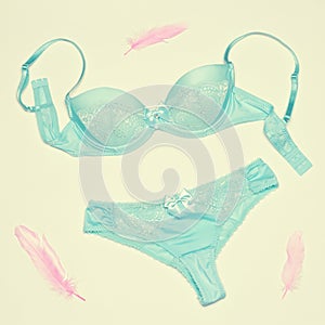 Lingerie set of blue bra and cheeky panty with pink feathers