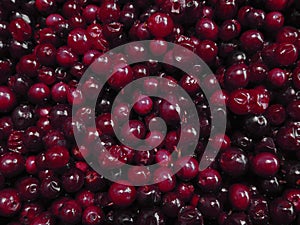 Lingonberries in the form of a background