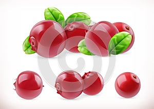 Lingonberry. Cowberry sweet fruit. Forest berry. 3d vector icons set photo