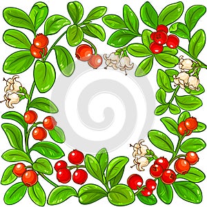 Lingonberry vector frame