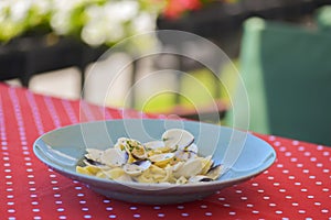 Linguine with clams. Traditional Italian pasta with clams and other sea food. Healthy meal. Eating out in restaurant