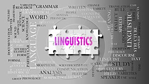 Linguistics as a complex subject, related to important topics spreading around as a word cloud photo