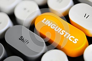 Linguistics is the scientific study of human language, text concept button on keyboard