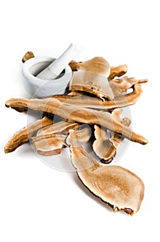 Lingzhi mushroom, Chinese traditional medicine, Ganoderma Lucidu