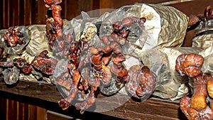 Lingzhi mushroom colony grown in the bag log at the farm.