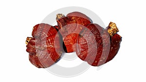 Lingzhi Mushroom Isolated on white background
