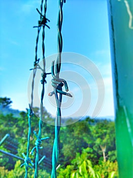 Link of the iron chain