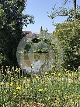 Linker Regnitzarm river in Bamberg