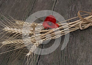 The linking of wheat decorated with a flower of red poppy