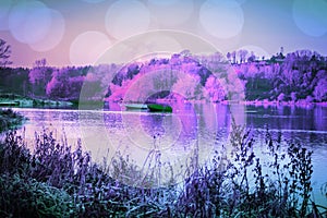 Linlithgow Lake with boats and frost on the grass, Linlithgow, Scotland, UK