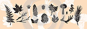 Linocut forest branch set, engraving vector autumn leaf, mushroom, cones black print collection.