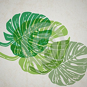 Linocut tropical Monstera leaves on background