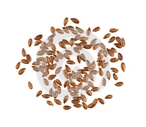 Linseed on a white background. Also known as Linseed, Flaxseed a