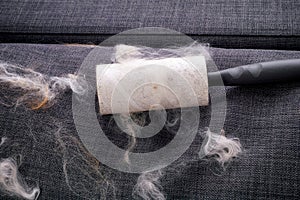 Lint roller with animal fur and fluff on gray couch