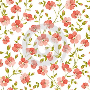 Linum seamless pattern.