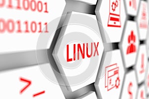 LINUX concept