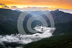 Linville Gorge River of Fog at Sunrise