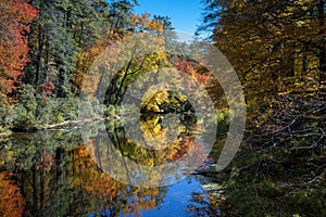 Linville River in autumn foliage forest on Blue Ridge Parkway.