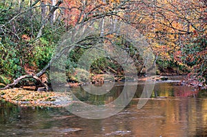 Linville River Trout Stream Western North Carolina Autumn
