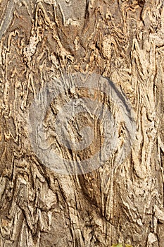 Liny stone background