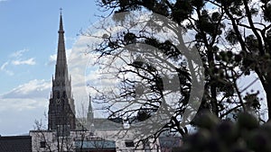 Linz Mariendom cathedrol and mistle toe tree