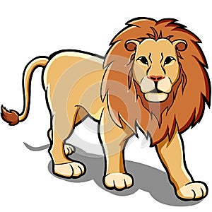 Lion