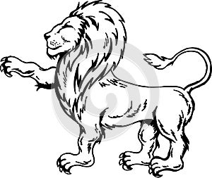 Lion