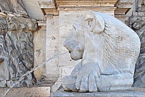 Lion of the Acqua Felice fountain photo