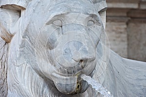 Lion of the Acqua Felice fountain photo
