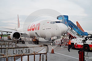 The lion air