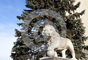 Lion Architecture 2