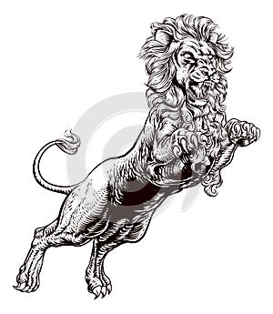 Lion Attacking Illustration