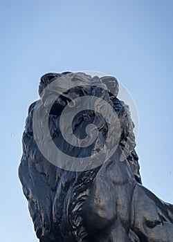 Lion at the base of Columbus Column