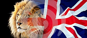 lion and british union jack flag composite