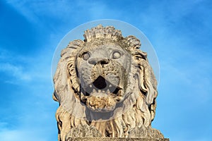 Lion on Budapest Chain Bridge