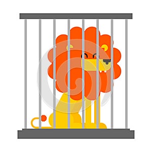 Lion in cage. Leo at zoo. Vector illustration