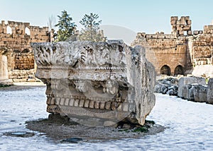 Lion carving on a corinthian column capital in Baalbek Roman ruins, Heliopolis, Lebanon