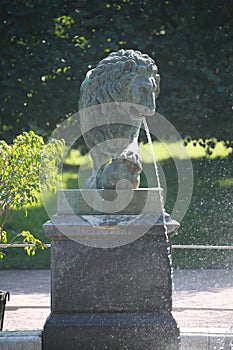 Lion Cascade Fountain, Peterhof. Statue of a bronze lion in a patina on a blurred background of trees