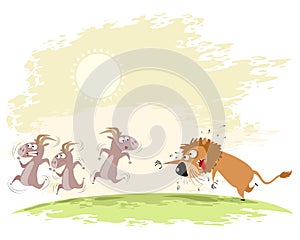 Lion catches goats