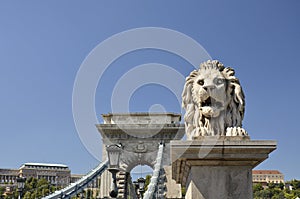 Lion and the Chain Bridge, Budapest. 2