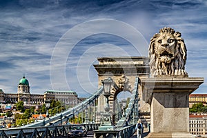 Lion on Chain Bridge in Budapest