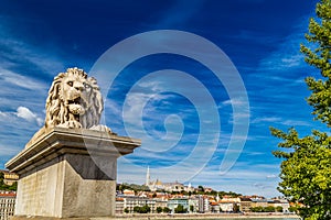 Lion on Chain Bridge in Budapest