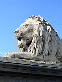 Lion of the Chain Bridge - Budapest, Hungary