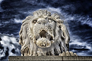 Lion of the Chain Bridge in Budapest