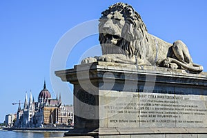 Lion on chain bridge and the parliament in Budapest, Hungary