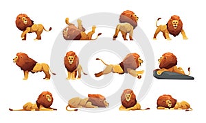 Lion collection. Cartoon male jungle cats in different poses, cute big cats with fur and tails safari wildlife icons