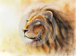 Lion color painting multicolor Illustration