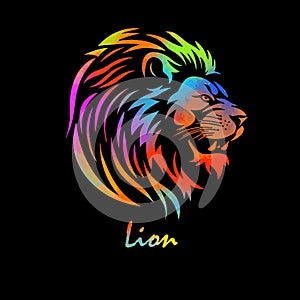 Lion colored head on black background. hand drawing. Not AI, Vector illustration photo